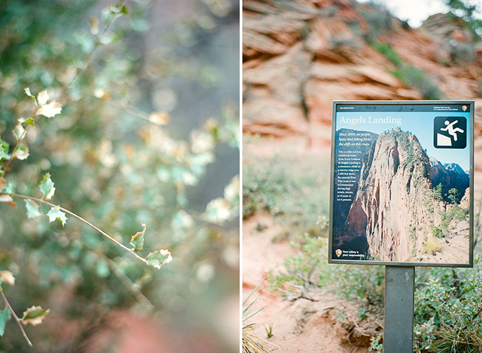 zion_film_photography_03