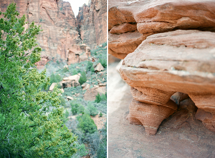 zion_film_photography_14