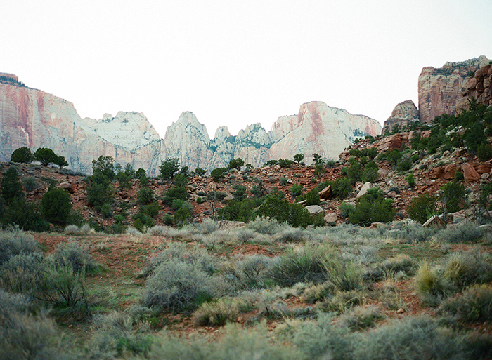 zion_film_photography_16