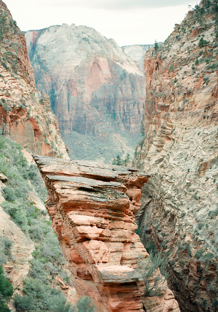 zion_film_photography_19