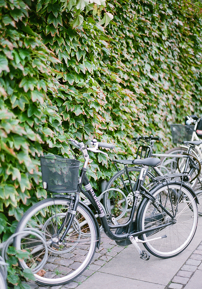 Bicycles of Denmark by Laura Ivanova Photography