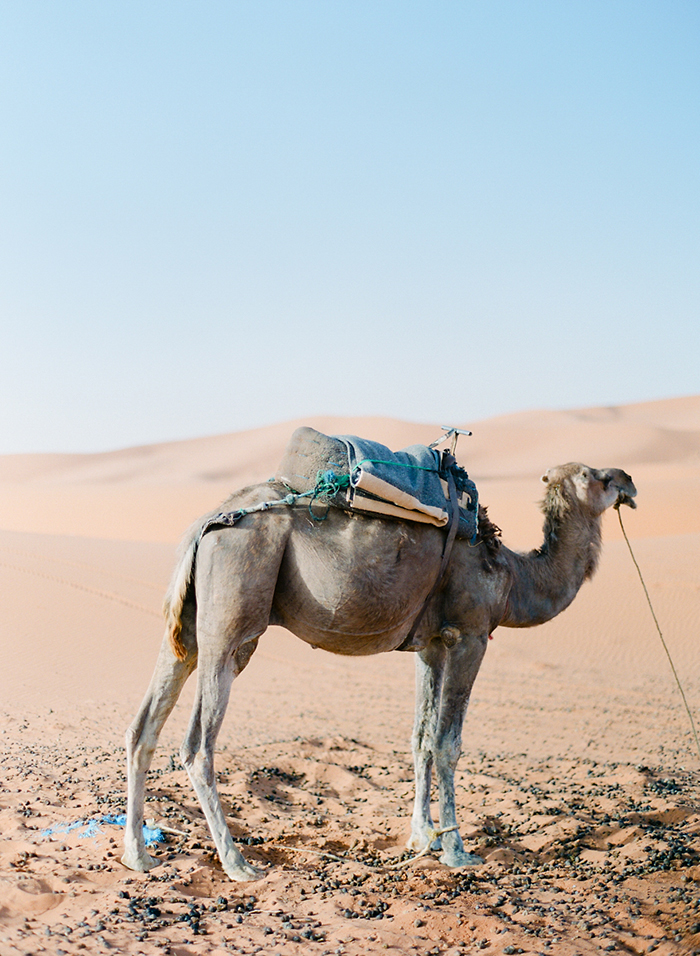 Sahara desert adventure by camel in Morocco, by Laura Ivanova Photography