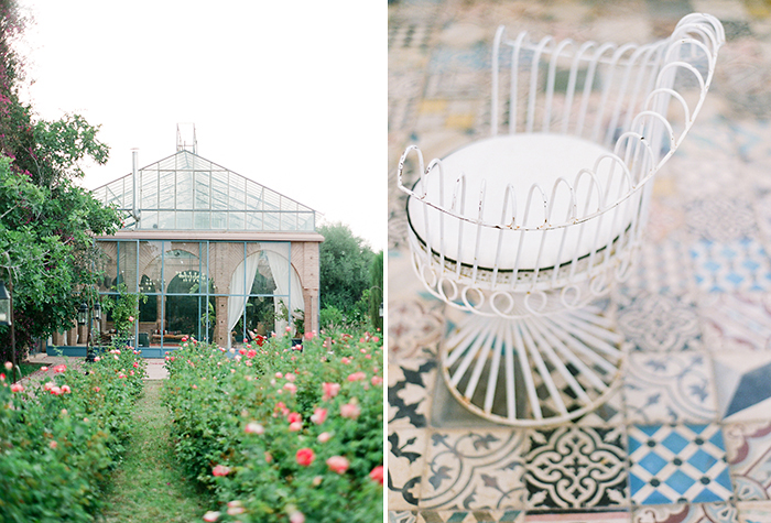 Rose garden of the Beldi Country Club in Marrakech, Morocco, by Laura Ivanova Photography
