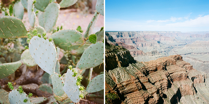 The Grand Canyon | Day trips from Sedona, Arizona