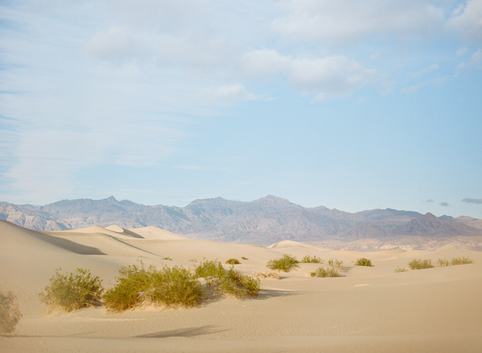 Mesquite Dunes, Death Valley National Park Travel Guide | Laura Ivanova Photography