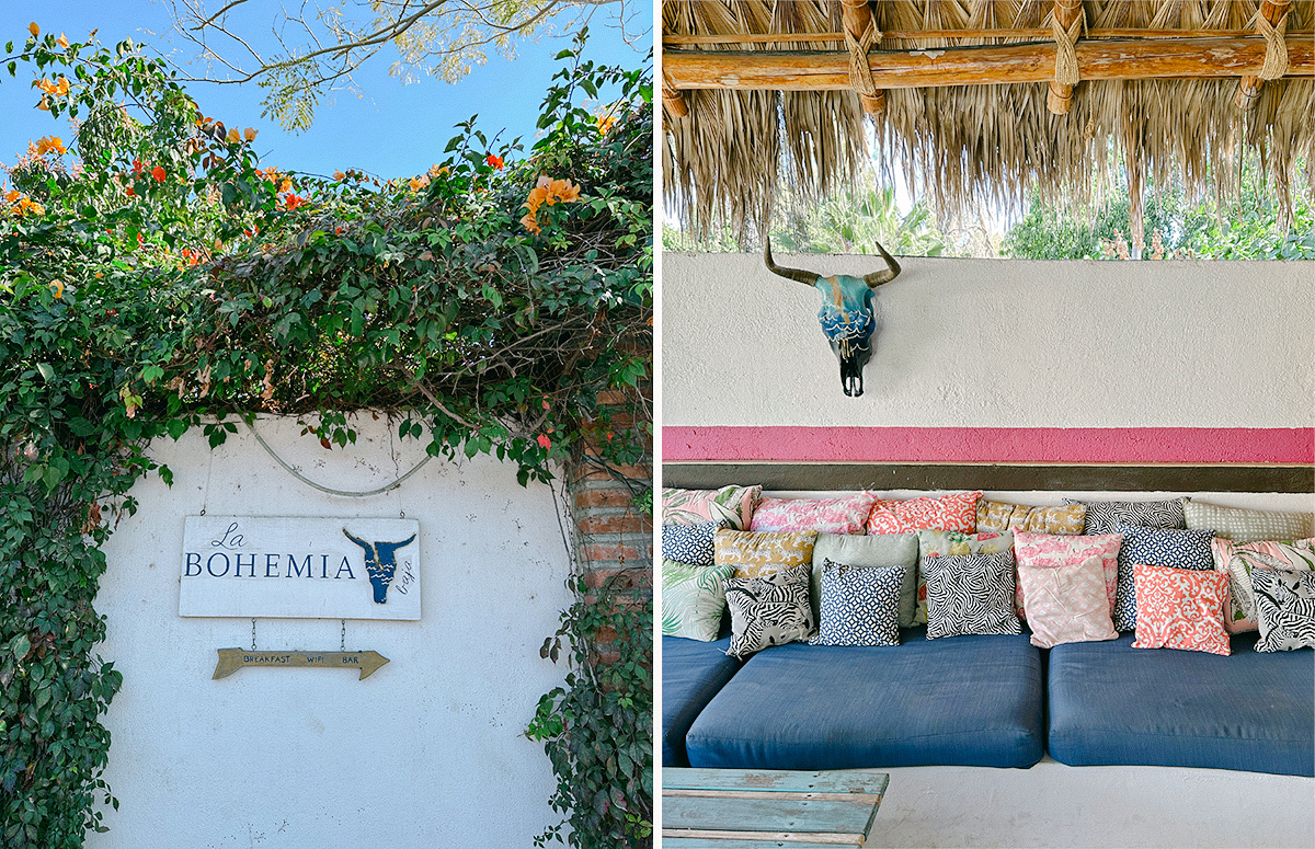 Todos Santos Travel Guide - La Bohemia Baja